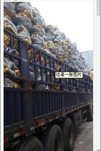 开封五金工具商行 一站式农具批发零售与五金产品研发的领航者